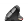 Trust Bayo Ergo Mouse 24110, 6 pulsanti, per destrimani, RF wireless, ottico, 2400 DPI