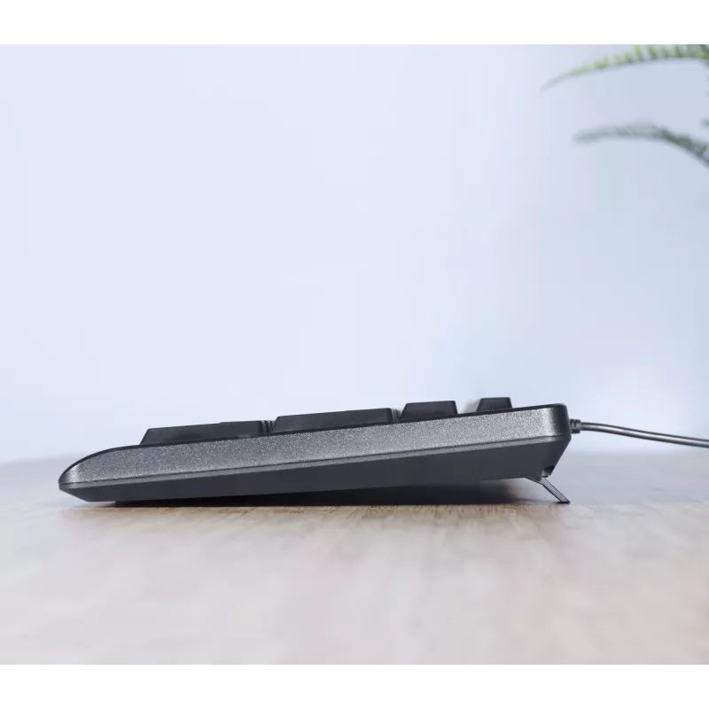 Trust TKM-250 tastiera mouse inclusi ufficio USB QWERTZ tedesco nero