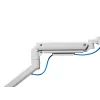 Equip Supporto da tavolo heavy-duty per monitor 17-49 pollici, bianco