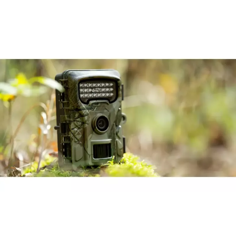 Telecamera di sorveglianza Redleaf RF06 RL4380 Standard