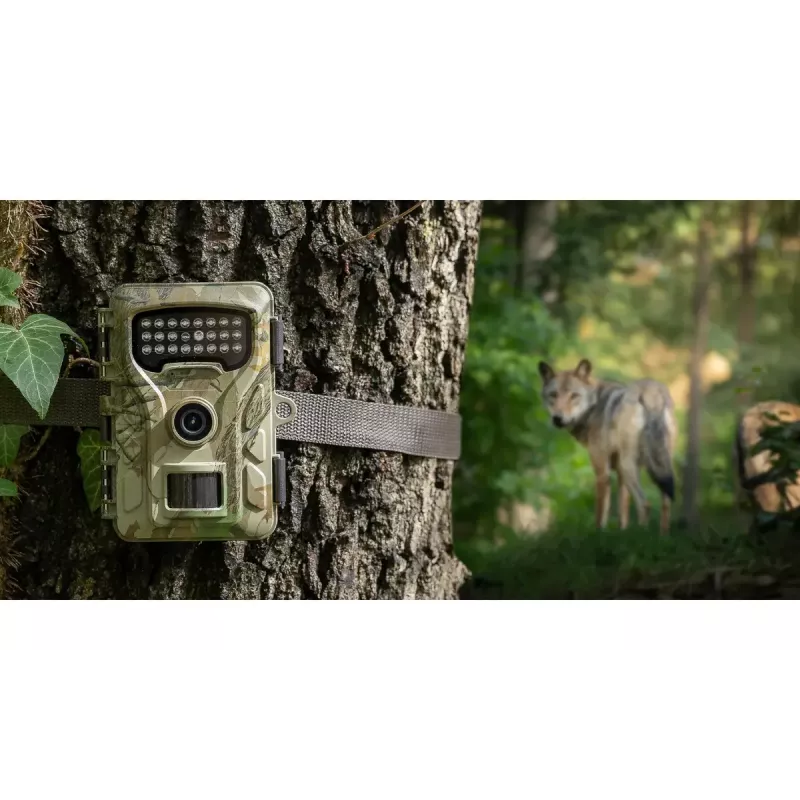 Telecamera di sorveglianza Redleaf RF06 RL4380 Standard