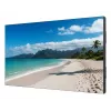 Display LCD per interni Sharp PN-UN553V 55