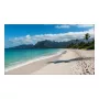 Display LCD per interni Sharp PN-UN553V 55 inch Full HD (1920×1080), IPS, 500 cd/m², 3500:1, VESA