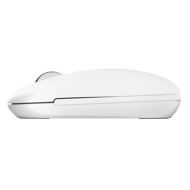 Mouse da ufficio wireless TRUST Seron sottile Multi – ambidestro, RF + Bluetooth, ottico 3200 DPI, 7 tasti, bianco