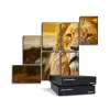 Matrox QuadHead2Go Q185 multi-monitor controller appliance / Q2G-DP4K2