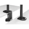 Supporto da tavolo articolato per monitor Equip da 17