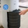 Filtro purificatore d'aria Philips FY3437/00 larghezza 248 mm profondità 34,6 mm altezza 300,5 mm