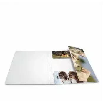 Cartellina in cartoncino HERMA 19211 A4 multicolore