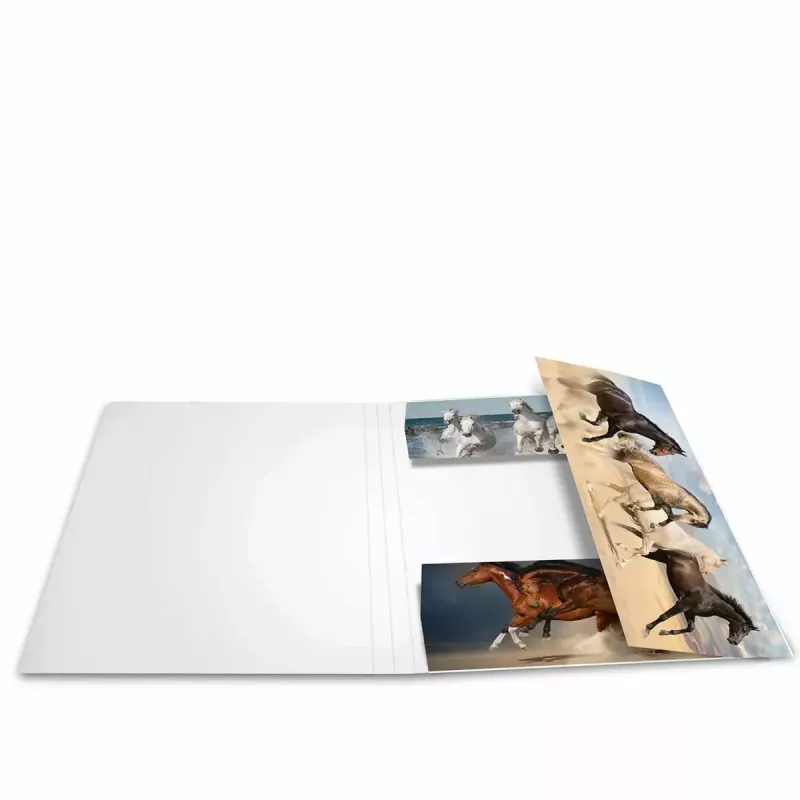 Cartellina in cartone HERMA 19209 A4 multicolore