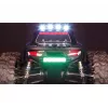 Monster truck Amewi Daphoenodon motore elettrico 1:12