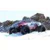 Monstertruck Amewi Terminator modello radiocomandato 1:10