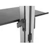 Equip supporto per TV da pavimento a soffitto 37-70 pollici portata massima 30 kg