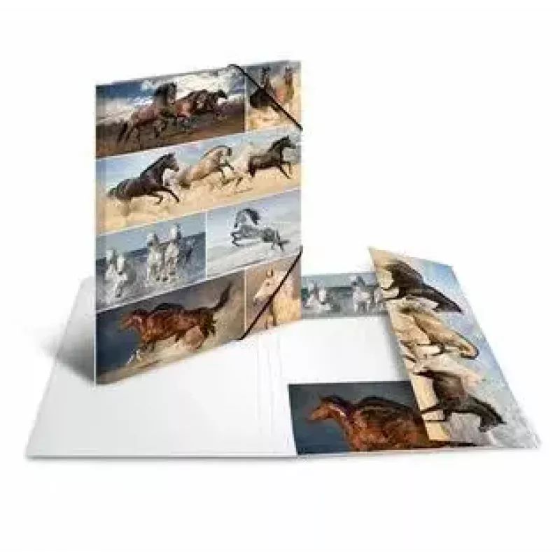 Cartella portadocumenti in cartone HERMA 19217 A3 multicolore