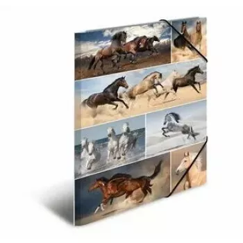 Cartella portadocumenti in cartone HERMA 19217 A3 multicolore