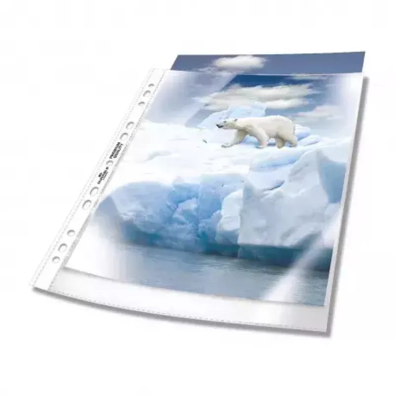 Custodie trasparenti Durable 2677-19