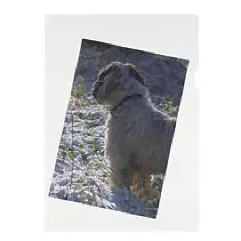 Custodia trasparente Herlitz 10843746 A4