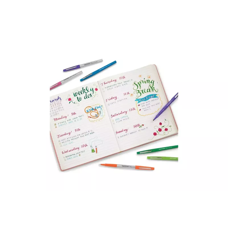 Pennarello medio Papermate Flair multicolore 16 pz.
