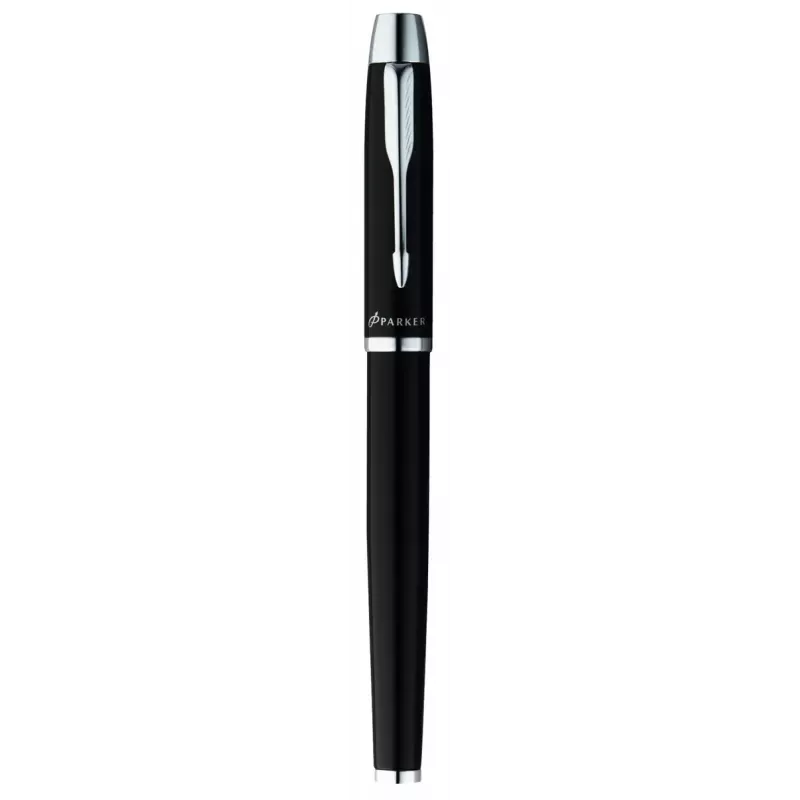 Penna a sfera e penna stilografica Parker 2093215