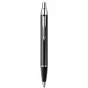 Penna a sfera e penna stilografica Parker 2093215