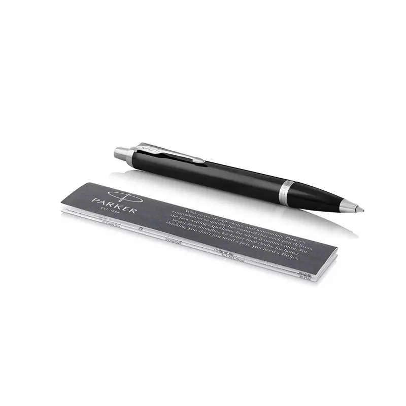 Penna a sfera e penna stilografica Parker 2093215
