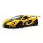 Auto da corsa on-road Jamara McLaren P1 GTR