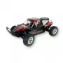 Buggy Amewi Breaker modello RC radiocomandato 1:10
