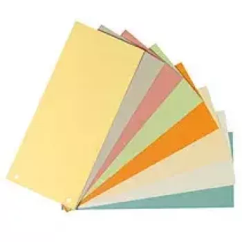Separatori in cartone Herlitz 10843621