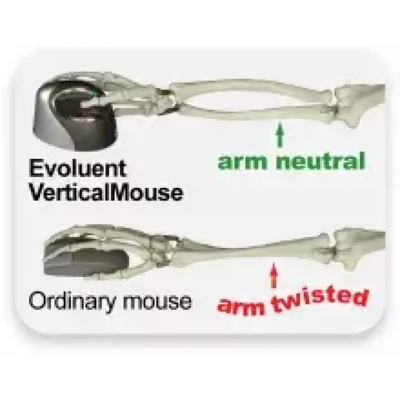 Mouse Evoluent VM4S Office USB Type-A