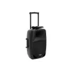 Diffusore PA Omnitronic 20000549
