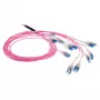 ACT 45 metri cavo in fibra ottica multimodale 50/125 OM4 preassemblato 24F LC Polarity Twist