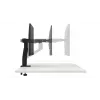 Supporto monitor DELL MSA20 96,5 cm scrivania nero regolabile in altezza