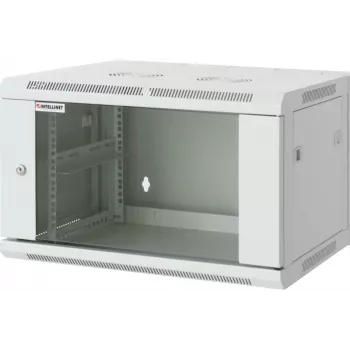Intellinet armadio di rete 19
