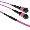 ACT DC5216 cavo in fibra ottica InfiniBand 100m 2x MPO OM4 50µm