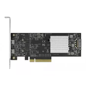 Scheda PCI Express x8 DeLOCK 89011