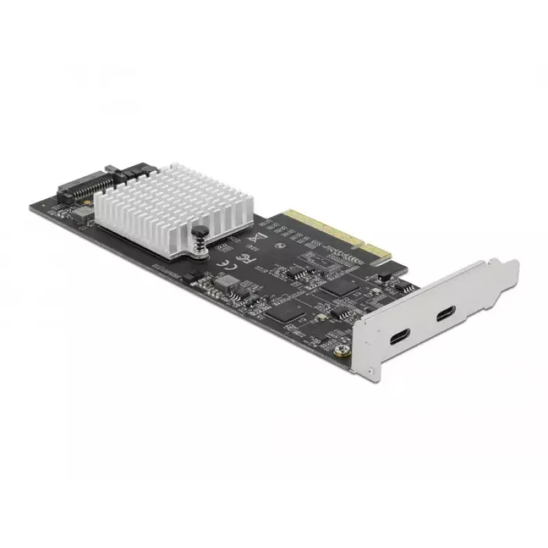 Scheda PCI Express x8 DeLOCK 89011