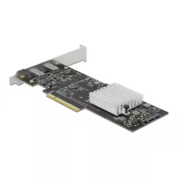 Scheda PCI Express x8 DeLOCK 89011