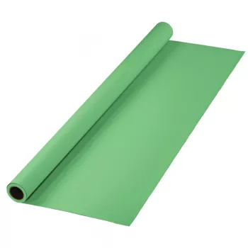 Fondale Hama 00021534 verde 11000 mm x 2750 mm