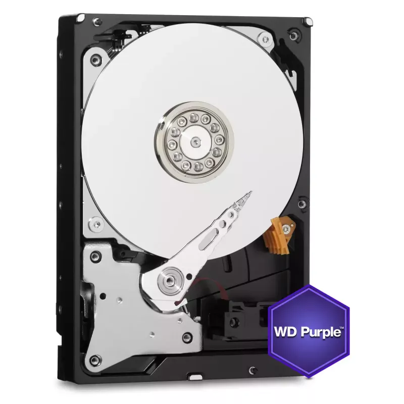 HDD Western Digital 6TB 3,5 pollici SATA WD60PURX