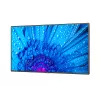 NEC MultiSync M491 Digital Signage schermo piatto 124,5 cm (49 pollici) IPS 500 cd/m² 4K Ultra HD nero 24/7