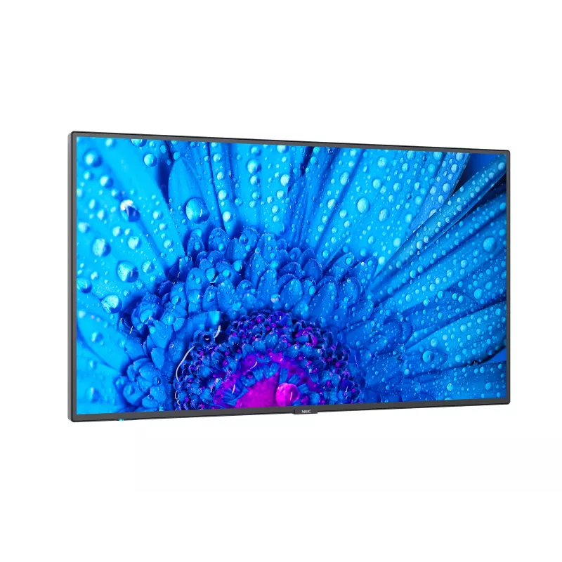 NEC MultiSync M491 Digital Signage schermo piatto 124,5 cm (49 pollici) IPS 500 cd/m² 4K Ultra HD nero 24/7