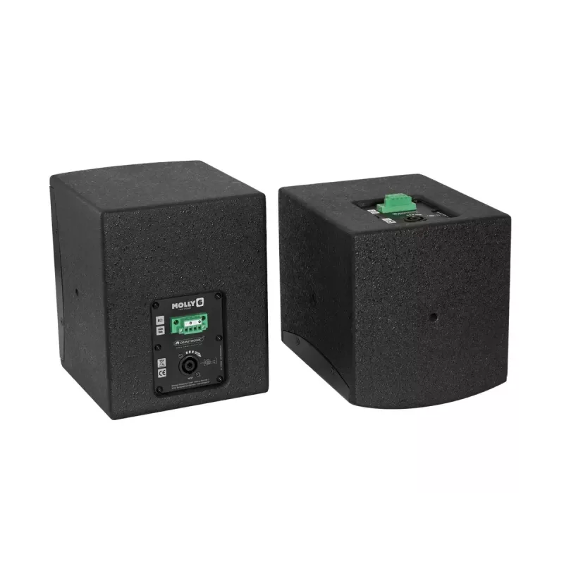 Diffusore full range Omnitronic MOLLY-6