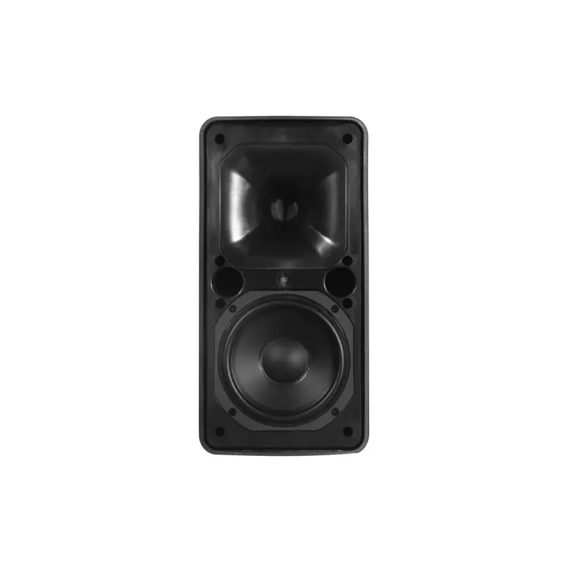 Diffusore a 2 vie Omnitronic 11036954 80 W