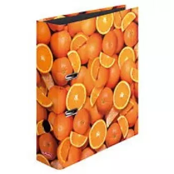 Raccoglitore ad anelli A4 Herlitz 10626190 multicolore