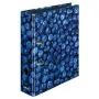 Raccoglitore ad anelli Herlitz 11080660 A4 multicolore