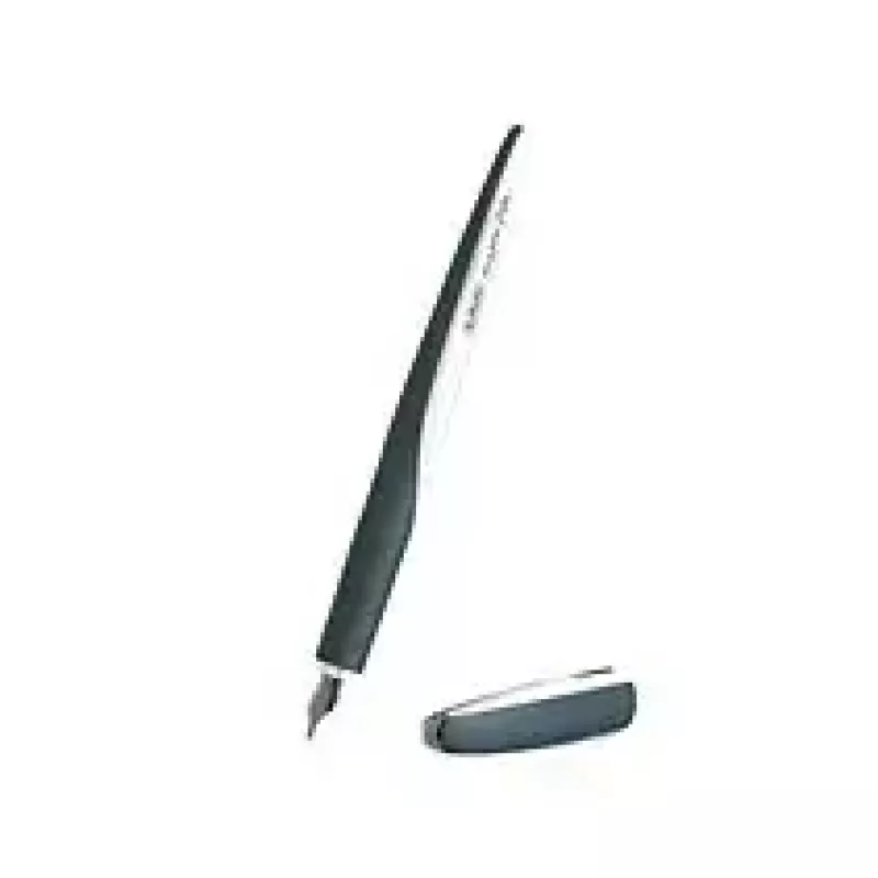 Penna stilografica per calligrafia Herlitz 11360286