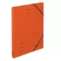 Raccoglitore ad anelli Herlitz 11255478 arancione cartone anello tondo