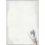 Fogli di carta patinata Sigel DP125 50 fogli
