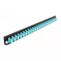 Pannello frontale splice box DeLOCK 19 pollici 24 porte LC duplex acqua