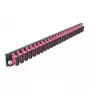 Pannello frontale splice box DeLOCK 19 pollici 24 porte SC duplex viola