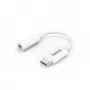 Hama 00201524 cavo audio USB C 3,5 mm bianco